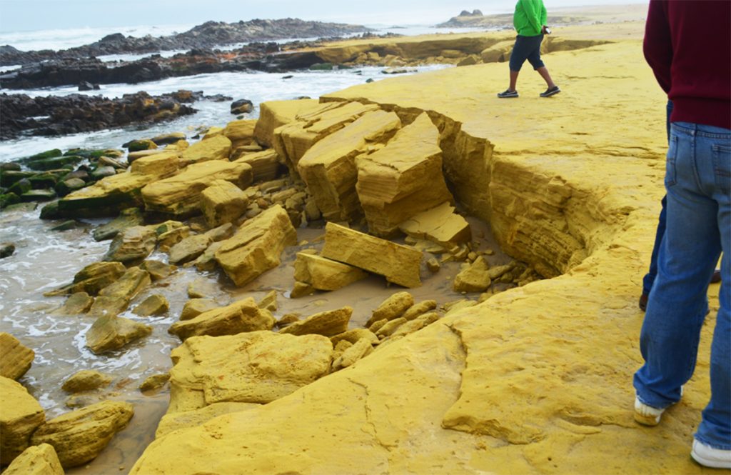 PLAYA SITUADA EN LOS HUMEDALES HIBRIDOS DE ITE